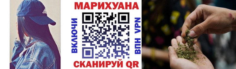 ГАШ Великие Луки