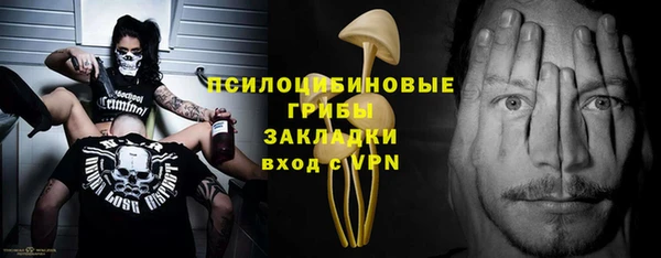 дурь Бронницы