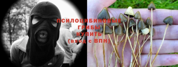 альфа пвп Бутурлиновка