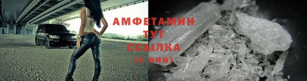ПСИЛОЦИБИНОВЫЕ ГРИБЫ Бородино