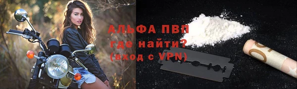 ПСИЛОЦИБИНОВЫЕ ГРИБЫ Бородино