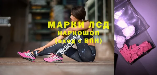 ПСИЛОЦИБИНОВЫЕ ГРИБЫ Бородино