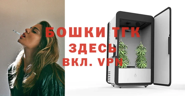 дурь Бронницы