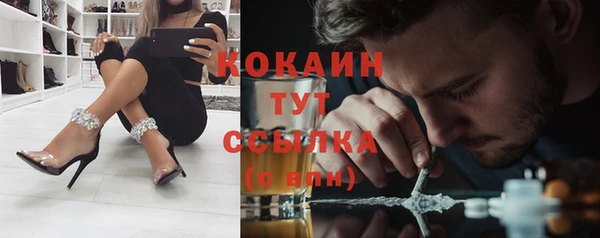 ПСИЛОЦИБИНОВЫЕ ГРИБЫ Бородино