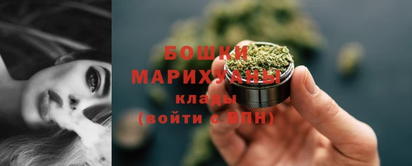 дурь Бронницы