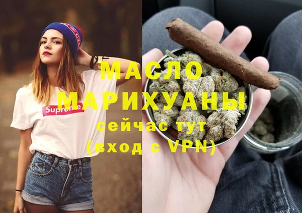 соль ск Ветлуга