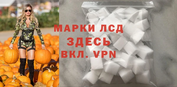 ПСИЛОЦИБИНОВЫЕ ГРИБЫ Бородино